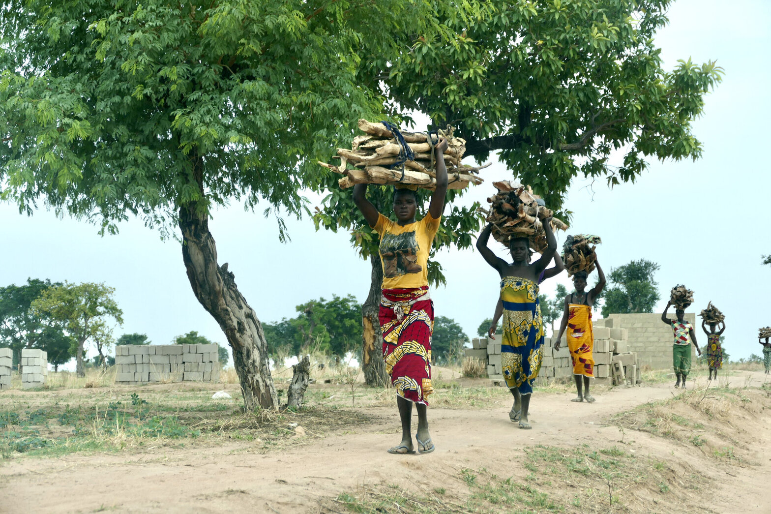 Frauen tragen Holzbündel auf ihren Köpfen