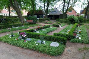 Urnengräber im Bodendecker