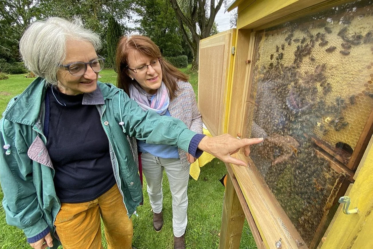 Zwei Frauen schauen in einen Schaukasten, in dem ein Bienenvolk lebt. 