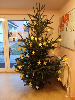 Tanne mit Wunsch-Sternen