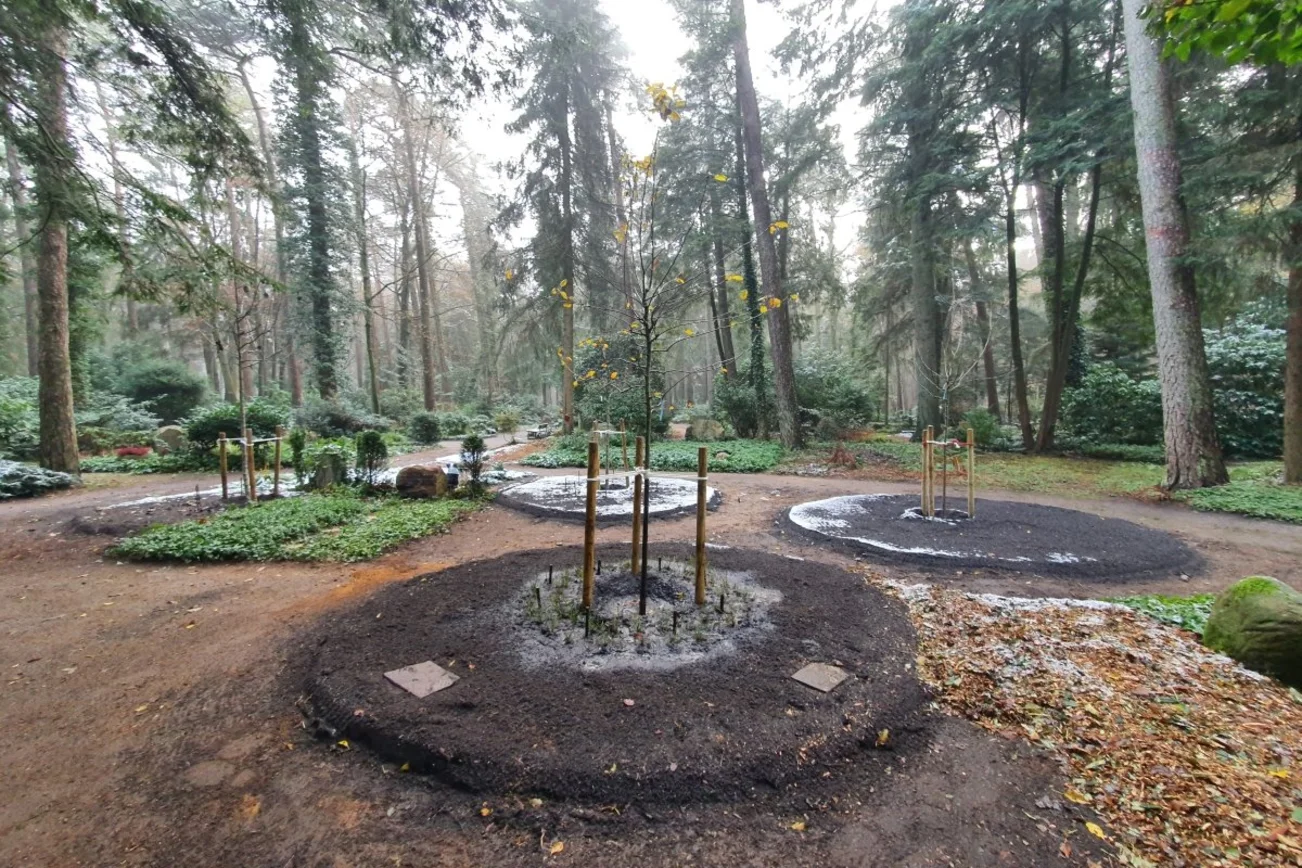 neues Grabfeld auf dem Aumühler-Waldfriedhof, der Obsthain