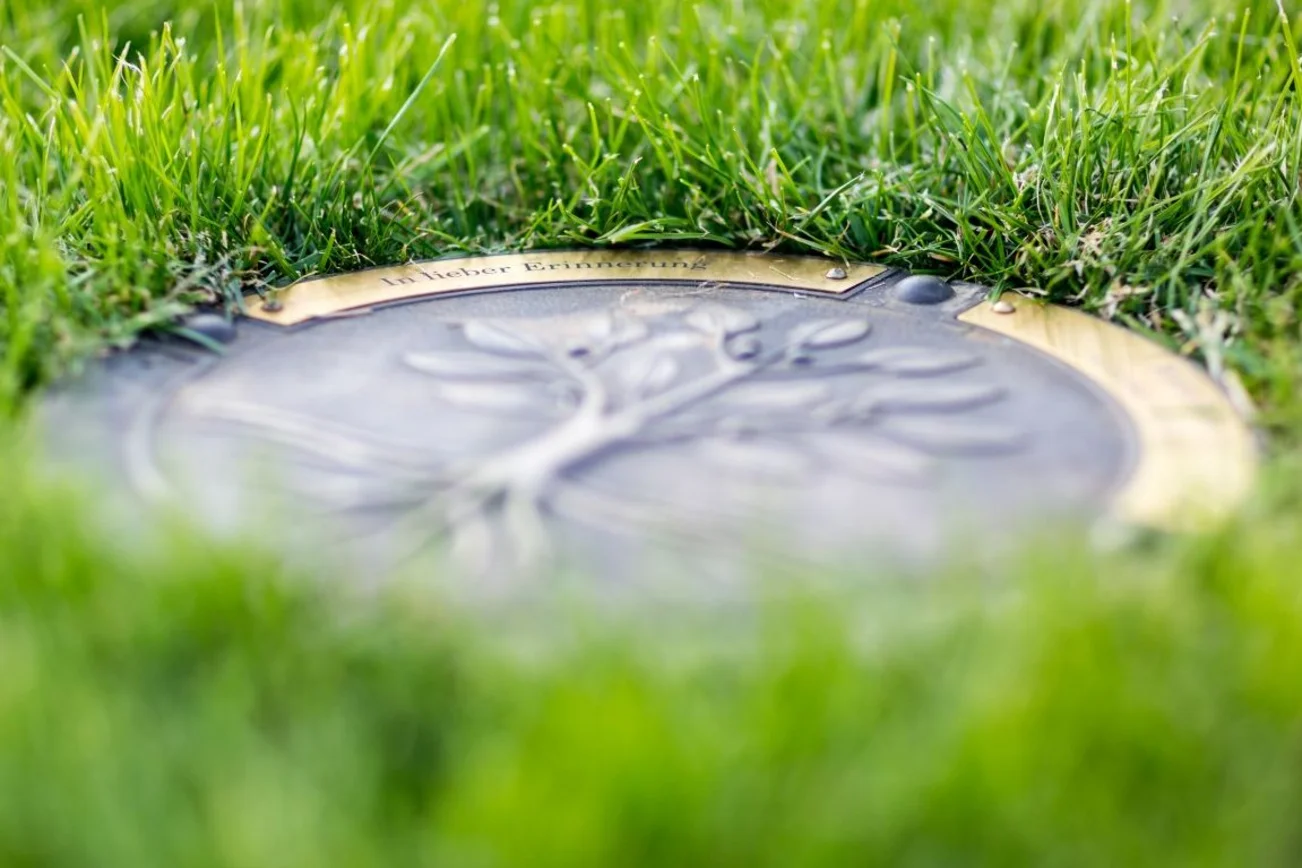 Runde Gedenkplatte, umgeben von Rasen, mit Lebensbaumsymbol für Urnenbestattungen