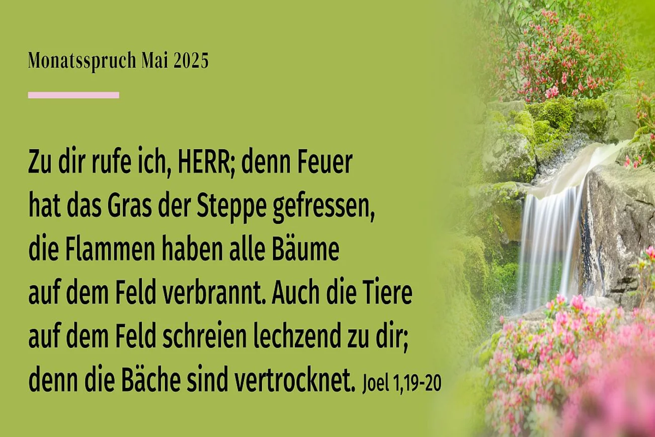 Schwarze Schrift auf grünem Hintergrunde mit Wasserfall und Blüten