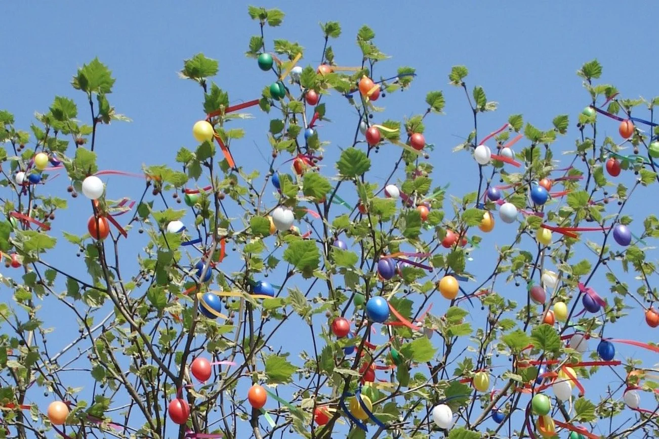 Ein großer Baum vor strahlend blauem Himmel übervoll mit bunten Ostereiern behängt