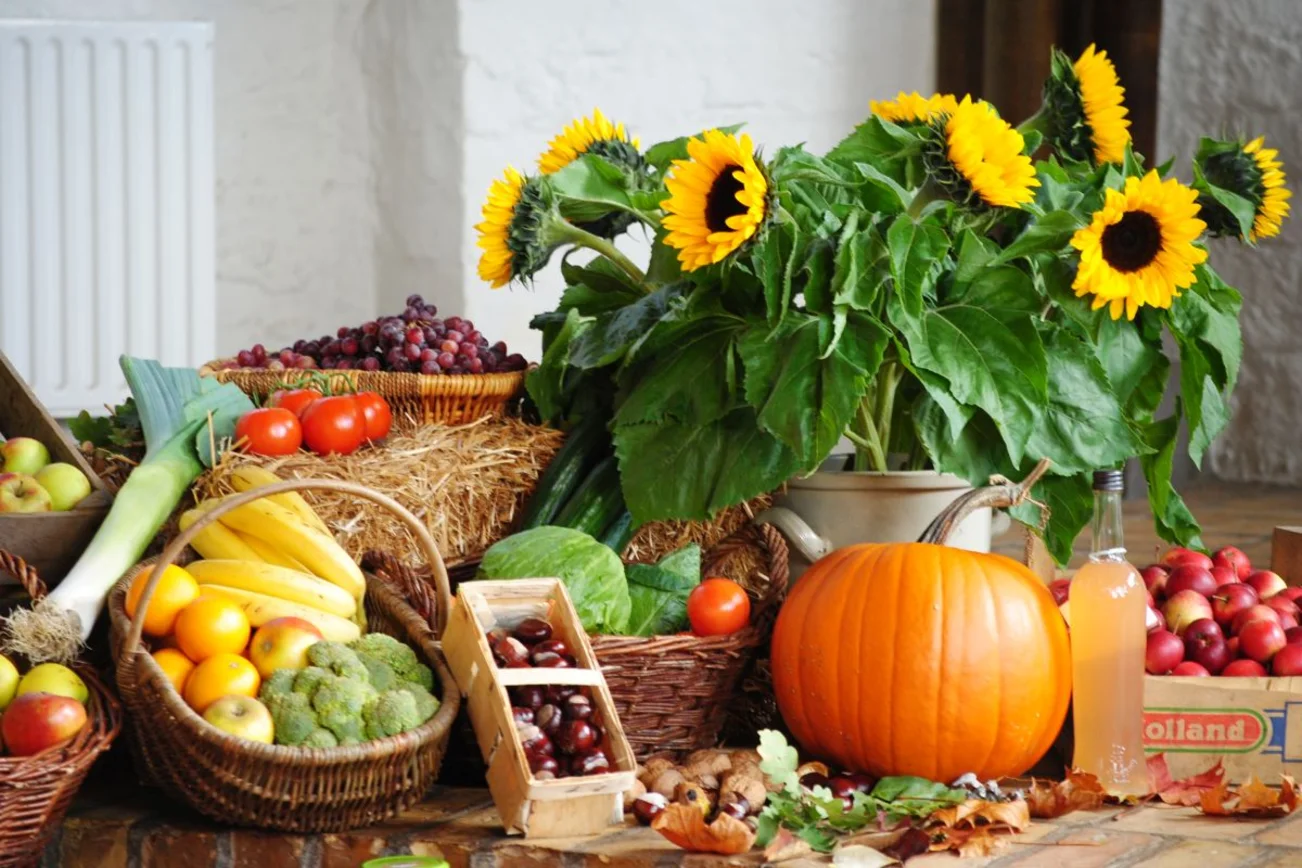 Viele Erntedankgaben in bunten Farben