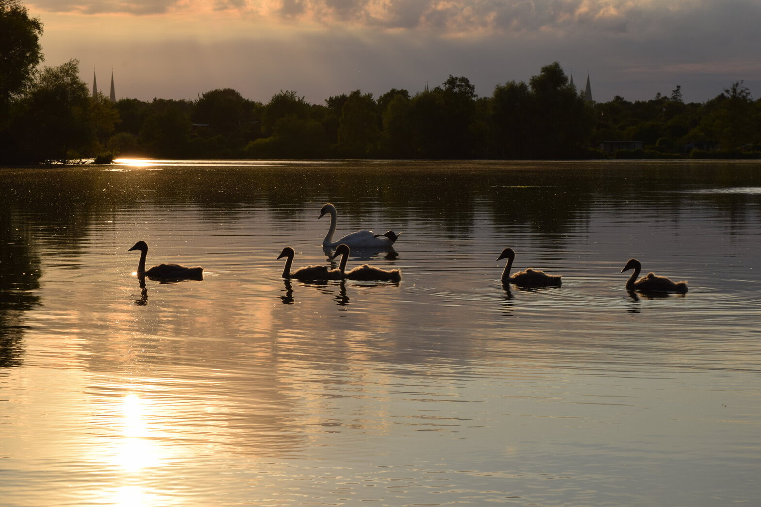 Naturfotografie
