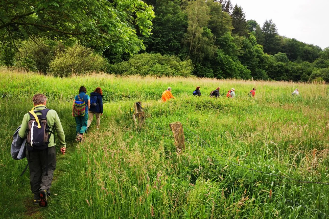 Menschen gehen auf einem Weg durch hohes Gras