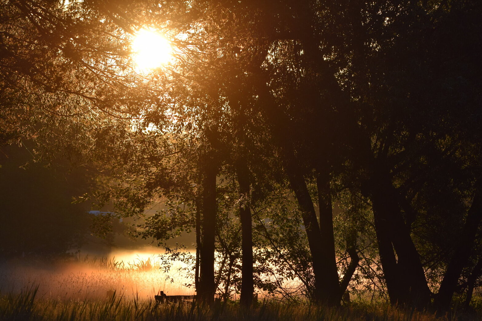 Sonnenaufgang an der Wakenitz