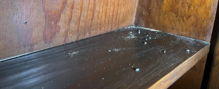 Holzmehl auf Holz