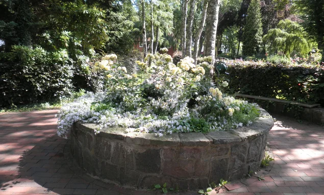 bepflanzter Rundbrunnen